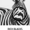 Rich Black